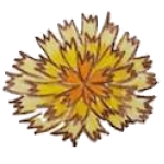 虹色たんぽぽファビコン